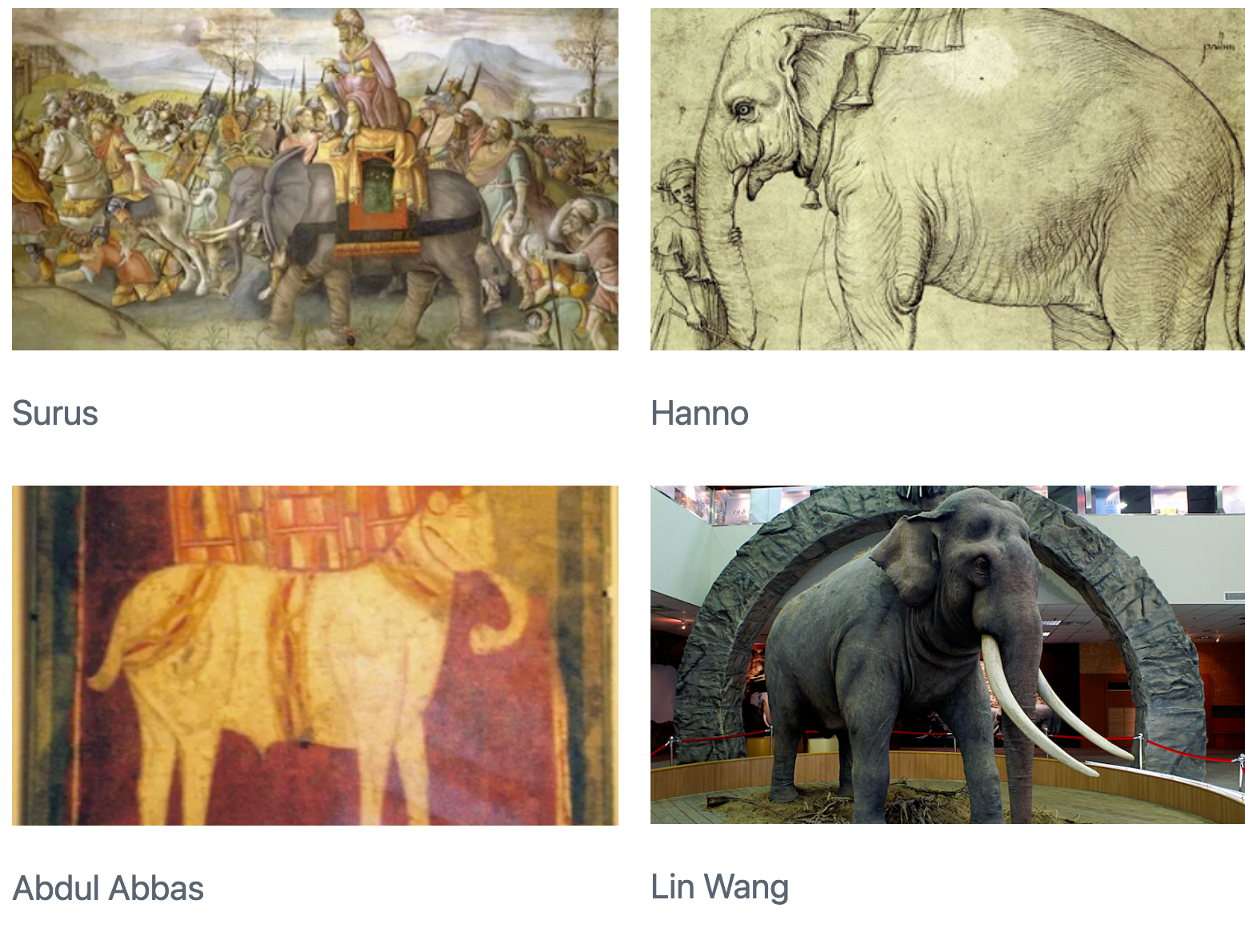 A 2x2 grid of pictures of elephants: Surus, Hanno, Lin Wang, and Abdul Abbas.